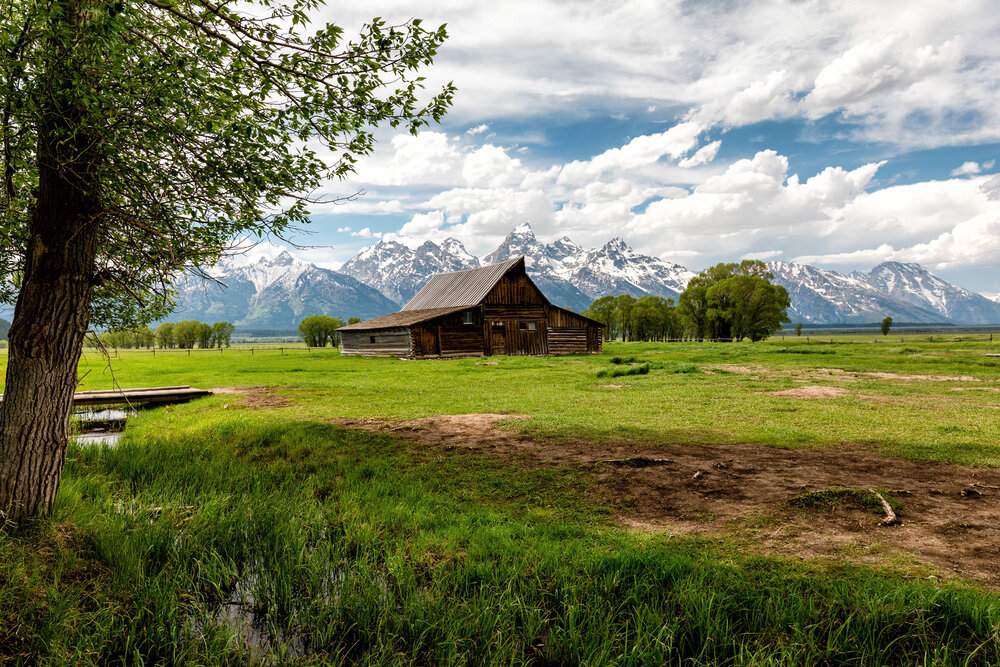 2020 Yellowstone D35D-378-Edit.jpg