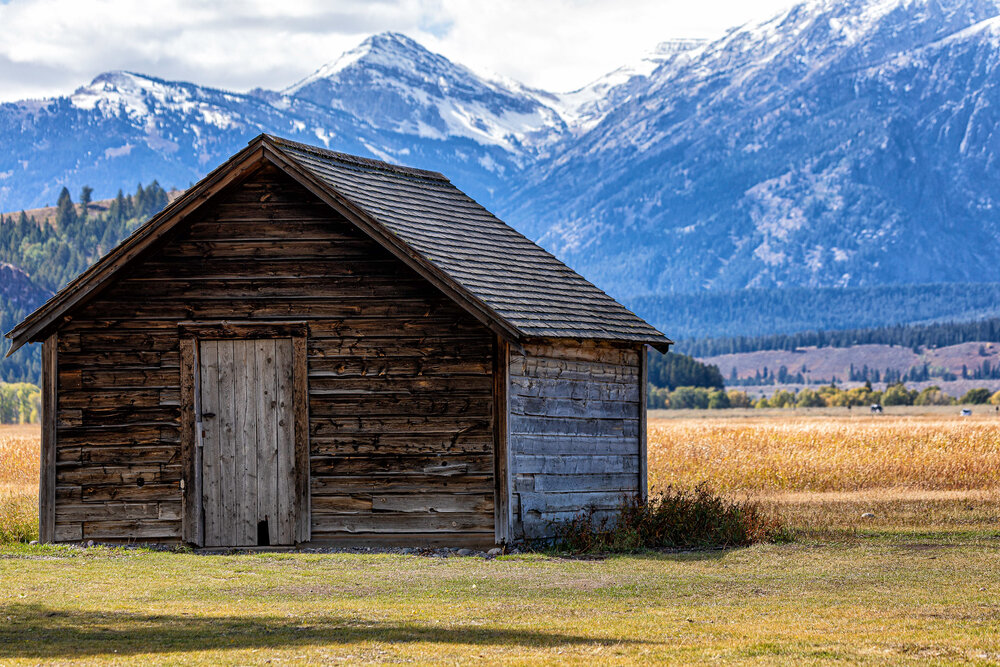 Yellowstone D2-253-Edit.jpg