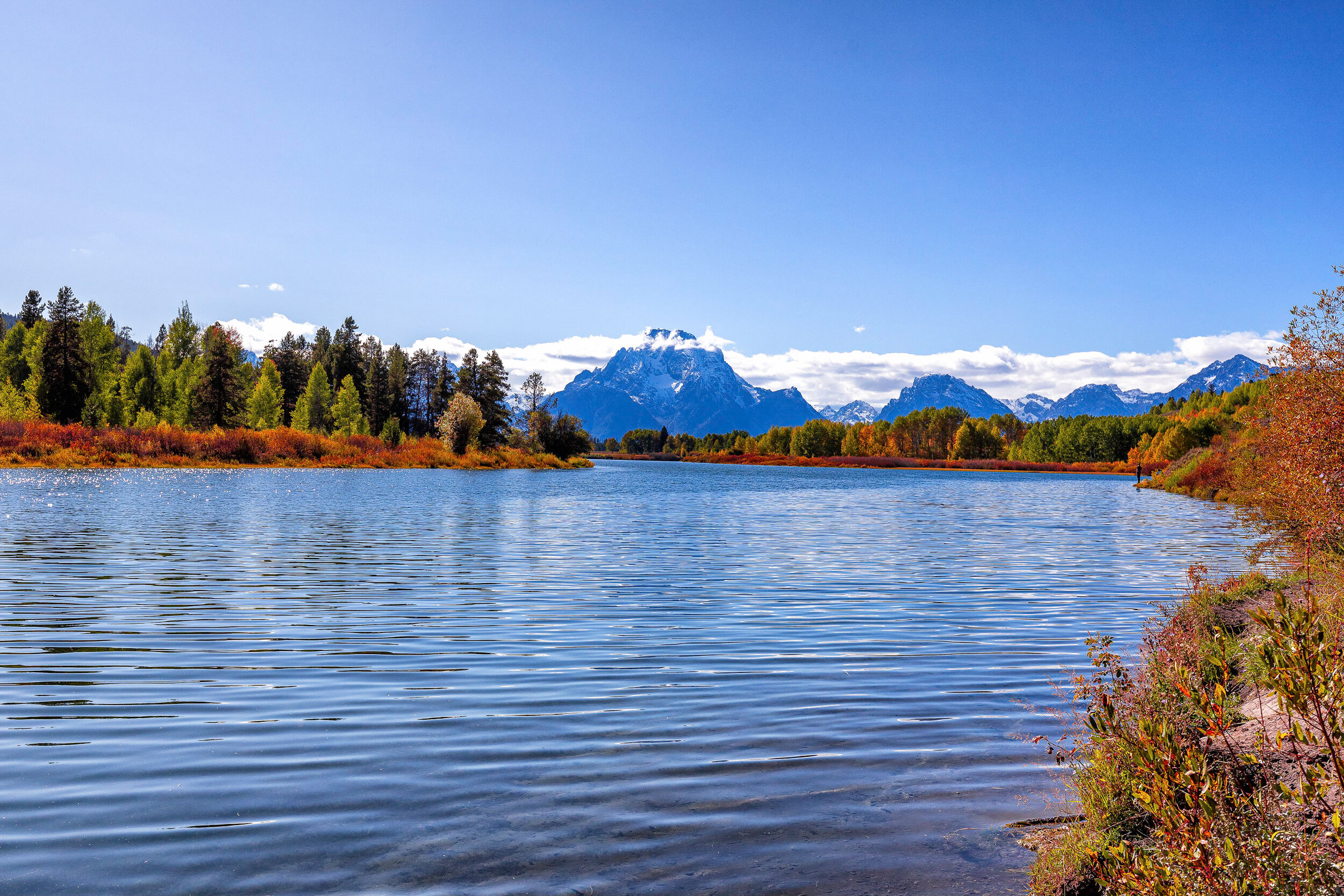 Yellowstone D2R-1271-Edit.jpg