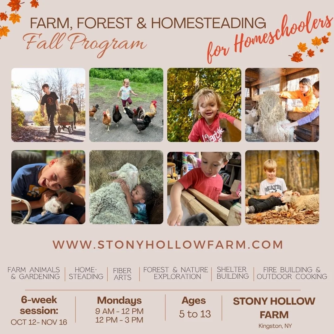 🍁 Fall Farm Program