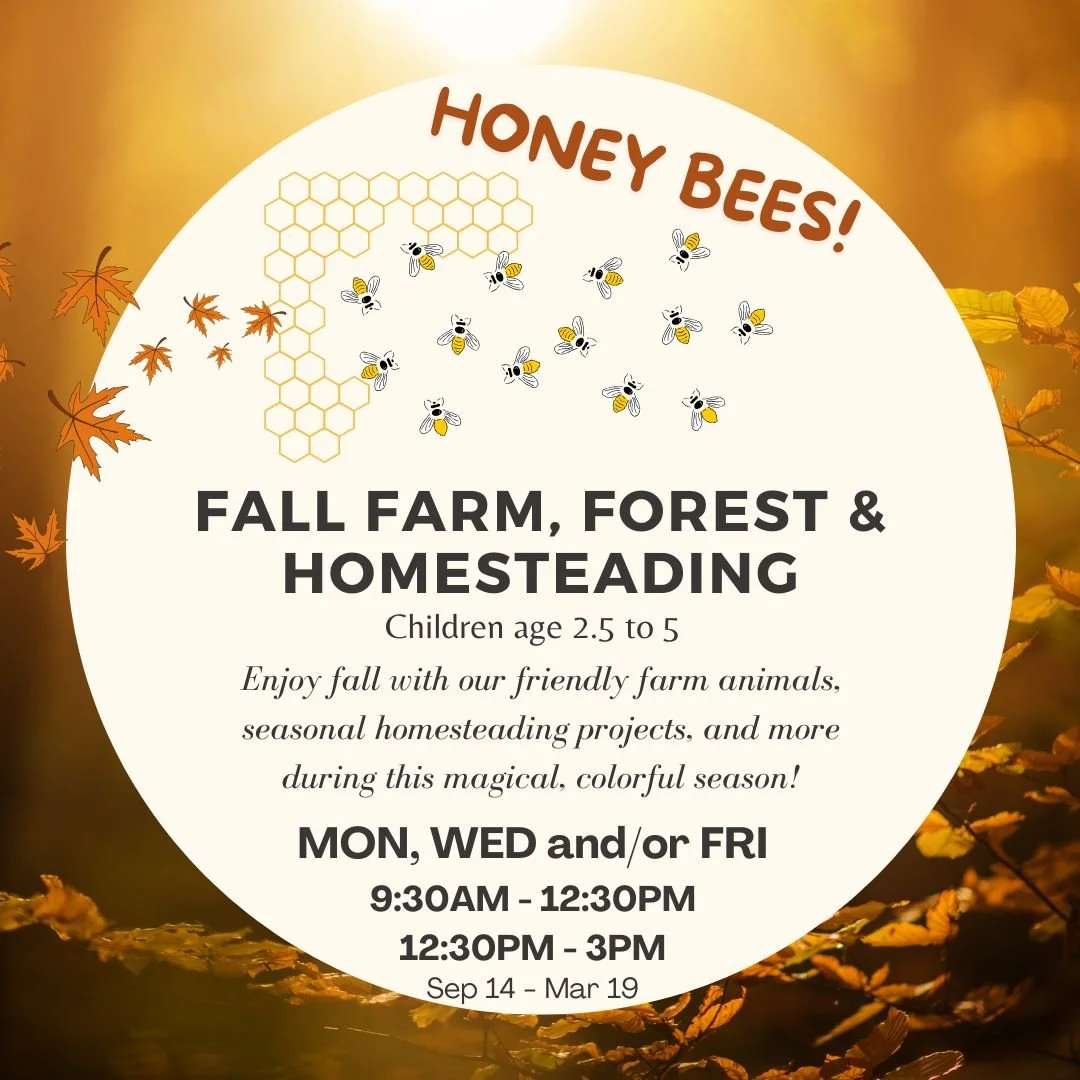 Honey Bees Fall.jpg