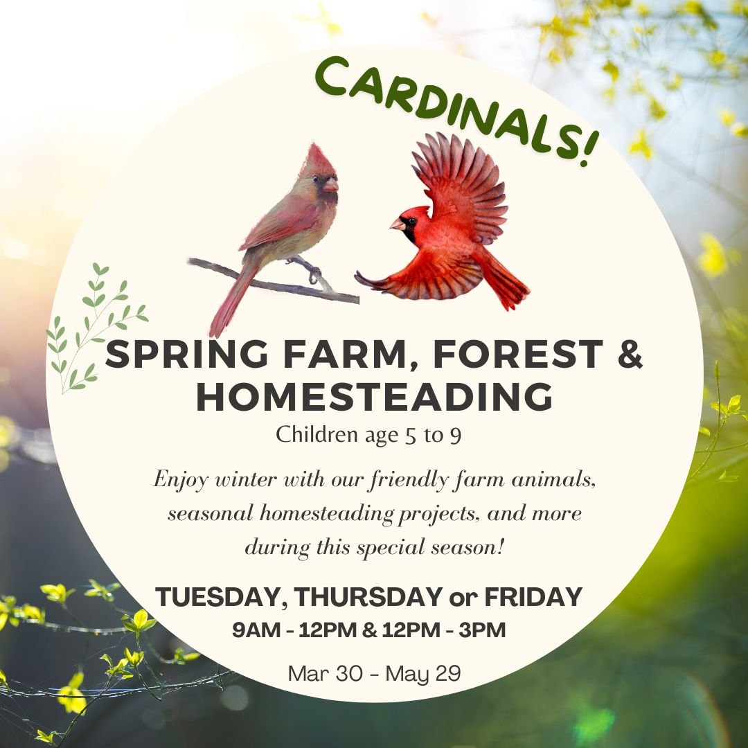 Cardinals Spring Farm Program (Mar-May 2026)