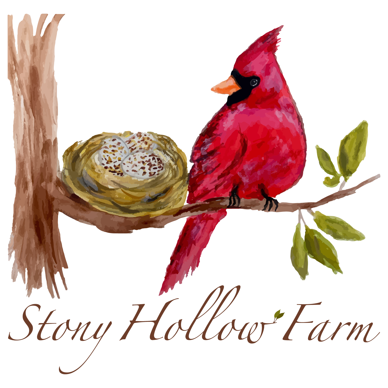 STONY HOLLOW FARM