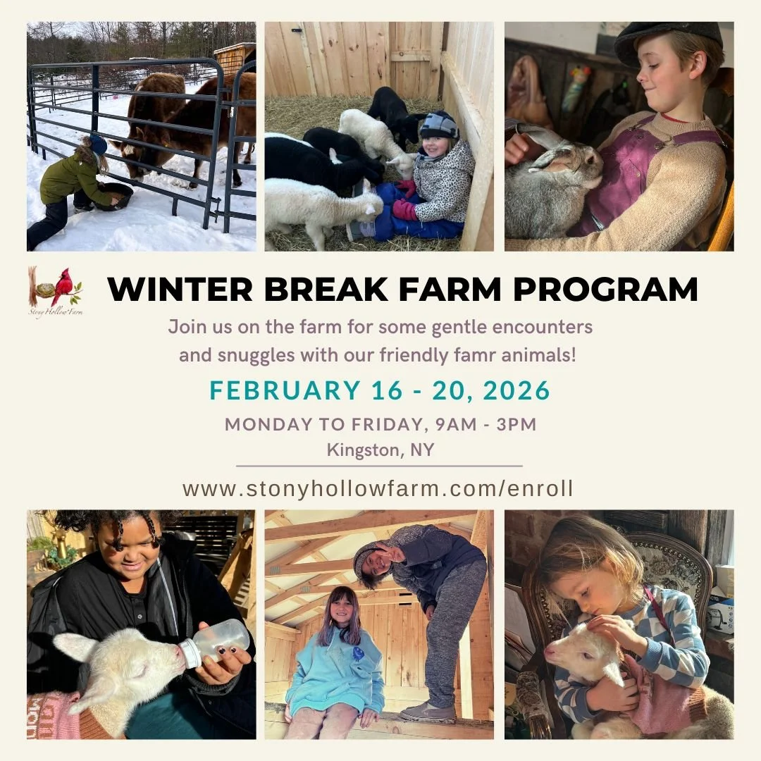 SH_Winter Break_February.jpg