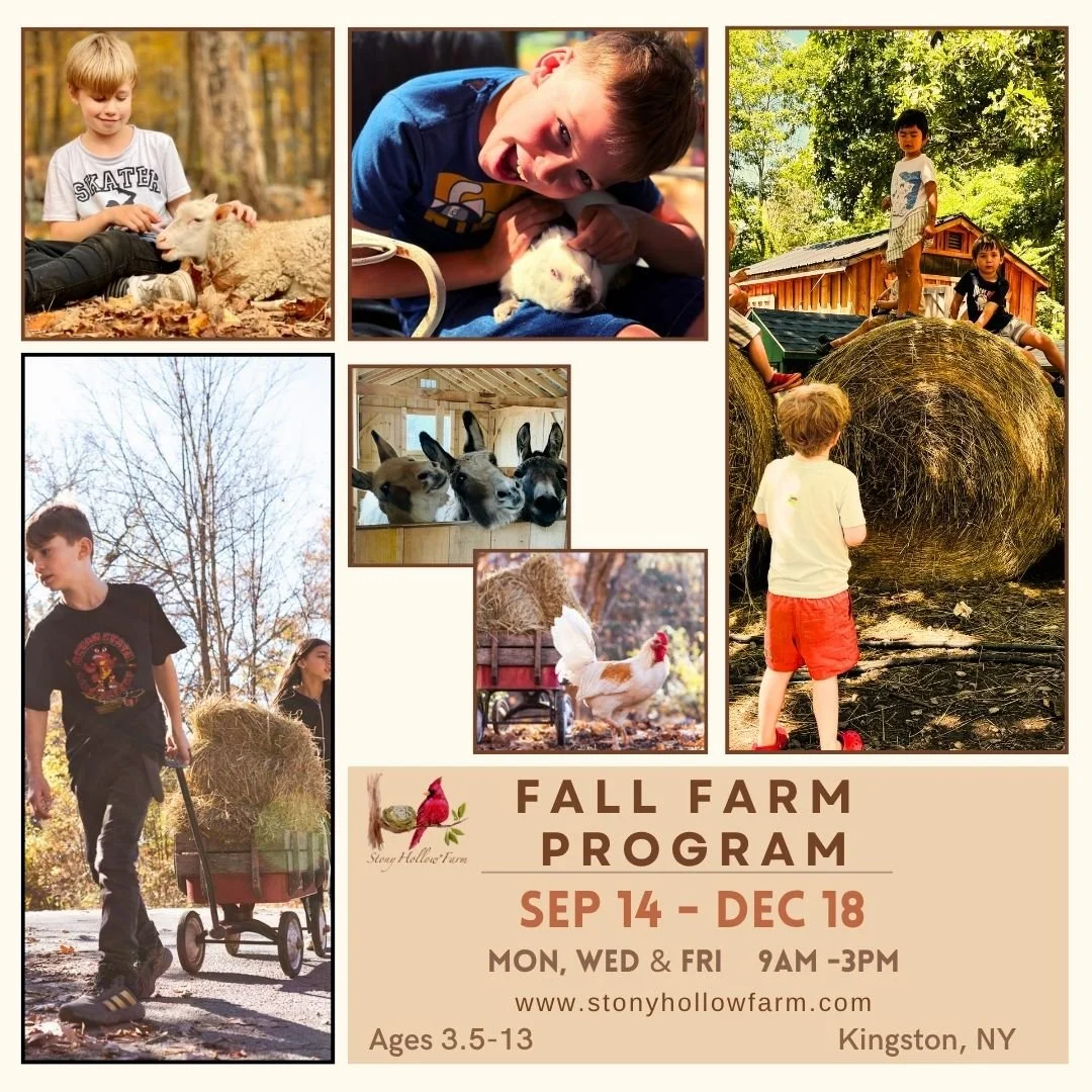 SH_FALL FARM PROGRAM_2026.jpg