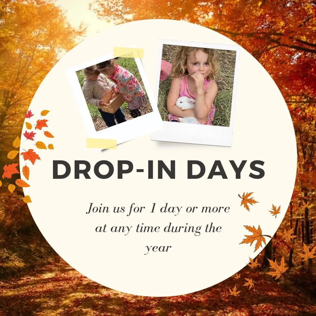 Drop-in days on the Farm - ONLY in spring, fall and winter (Limited Space!)