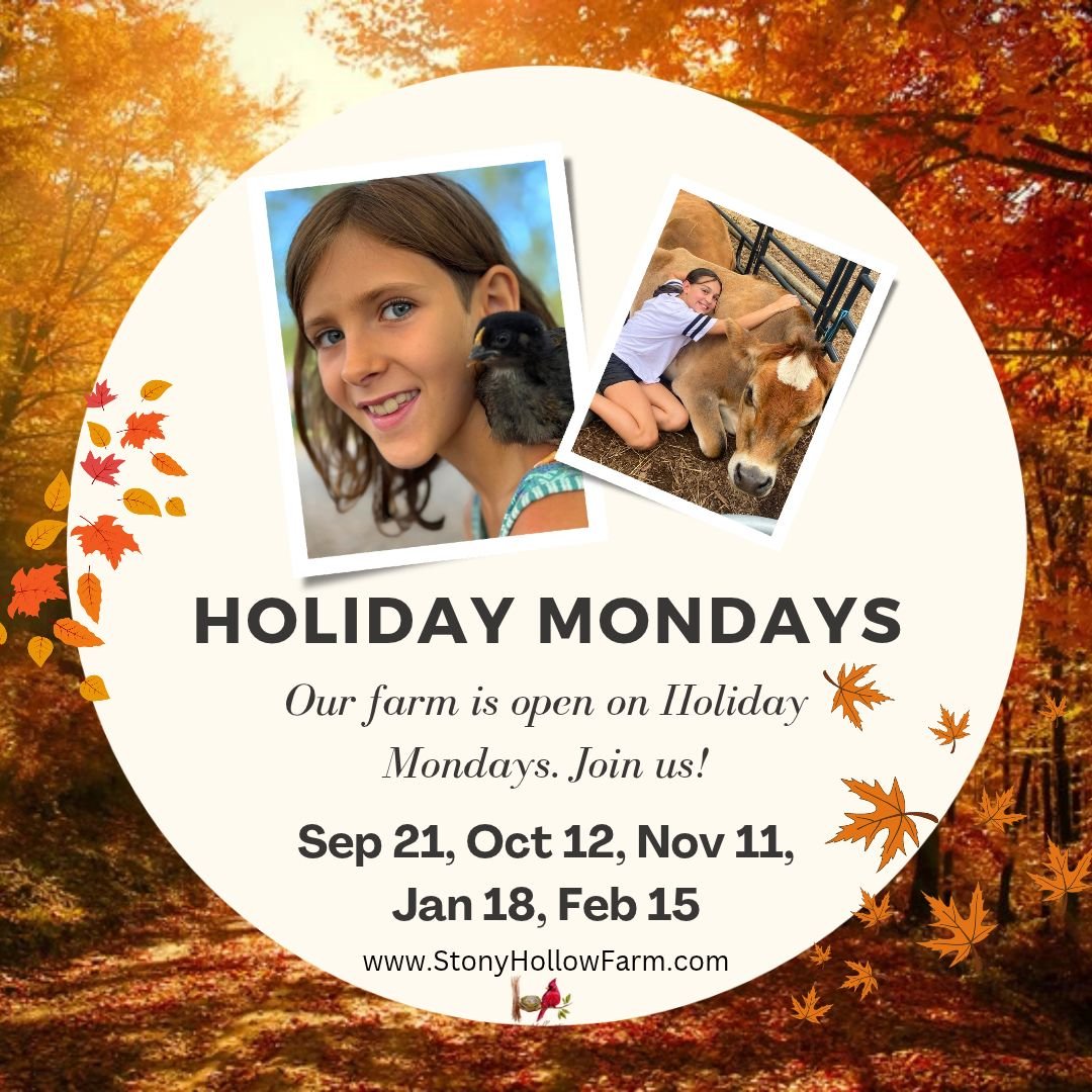Holiday Monday