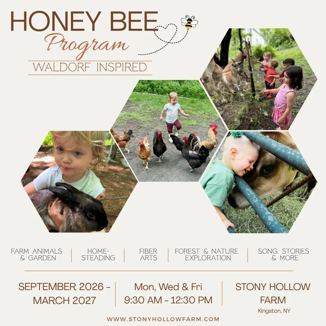 Honey Bees Fall & Winter Farm Program (Sep 2026 - Mar 2027)