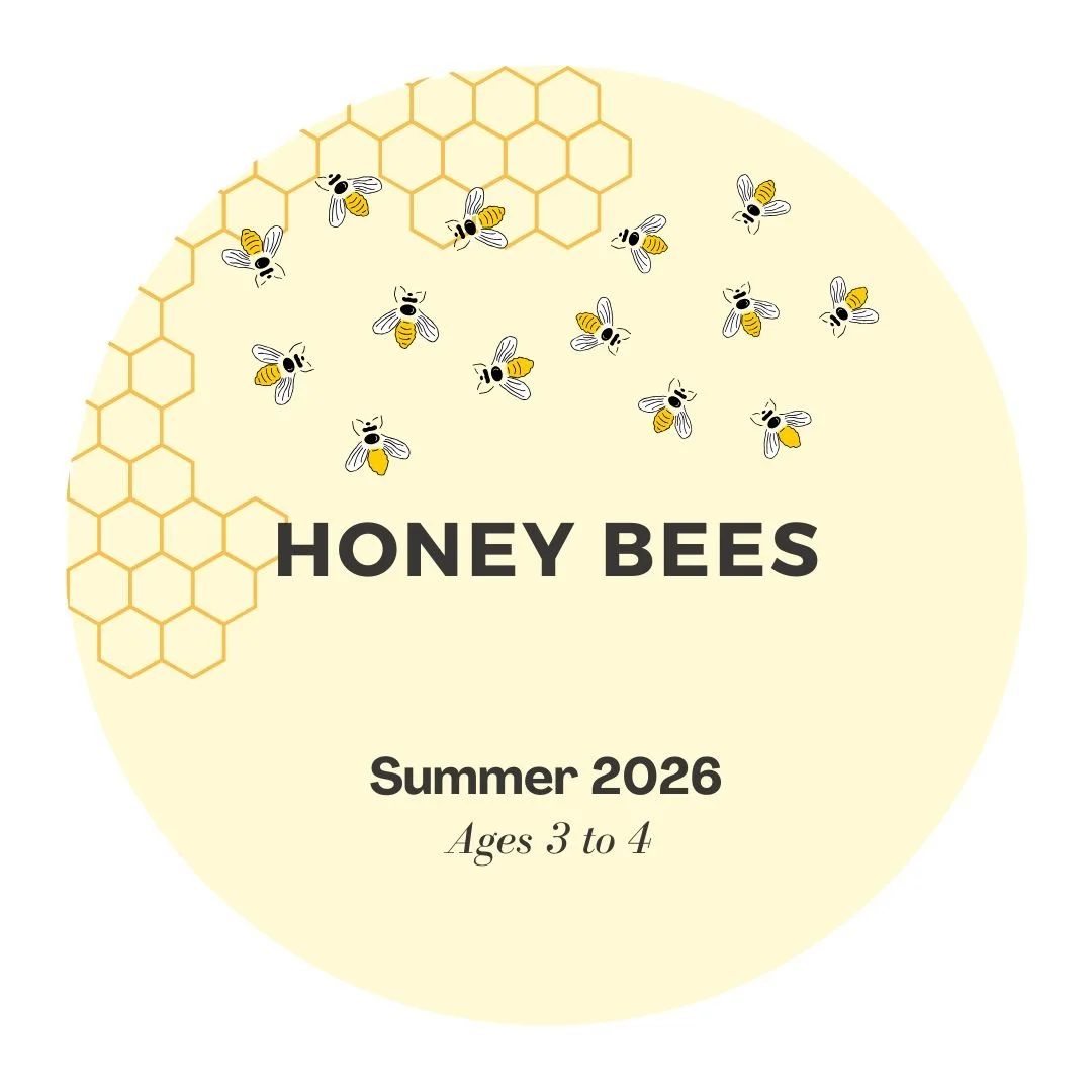 Summer Farm Experience - SUMMER 2026 FOR 3-4 YEARS OLD