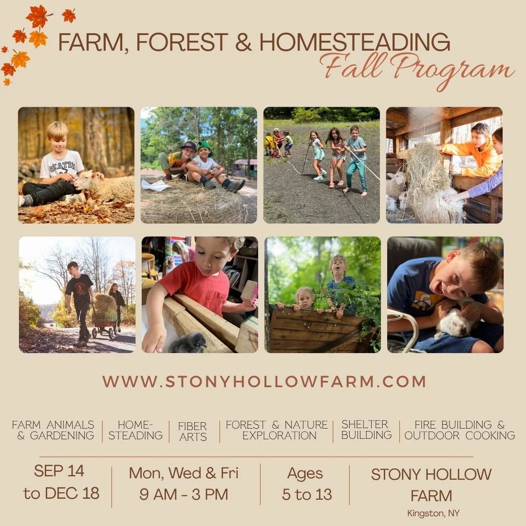 🍁 Fall Farm Program