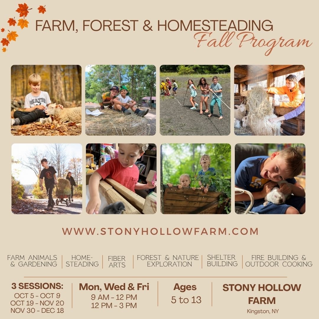 SH_FALL PROGRAM_new dates.jpg