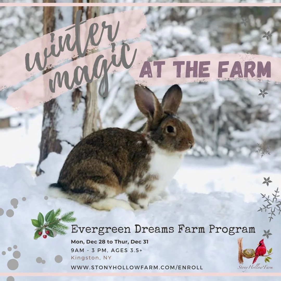 🌲 Evergreen Dreams 🌲 December 28 to 31, 2026