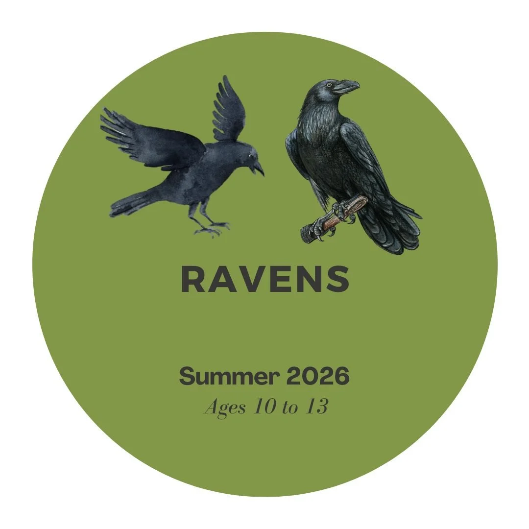 Summer Farm Experience - SUMMER 2026 FOR 10-13 YEARS OLD