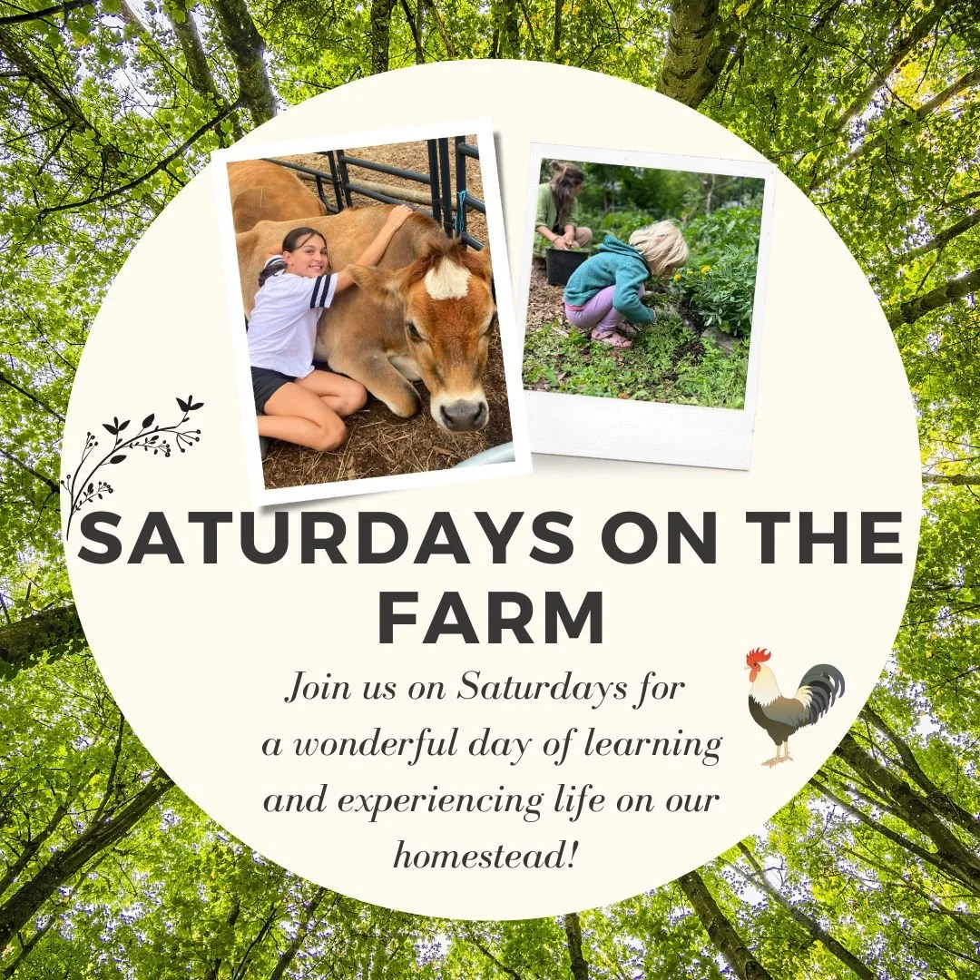 Saturdays on the Farm Program