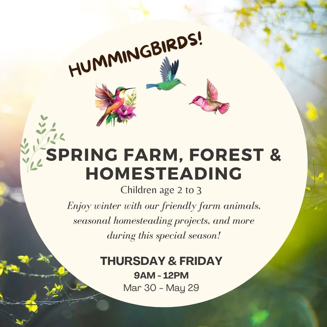 Hummingbirds Spring Program (Mar-May 2026)
