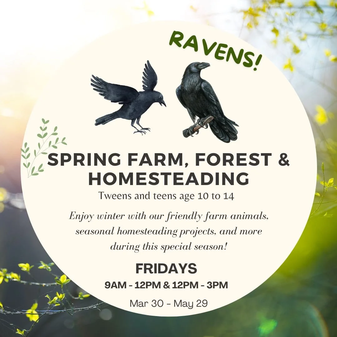 Ravens Spring Program (Mar - May 2026)