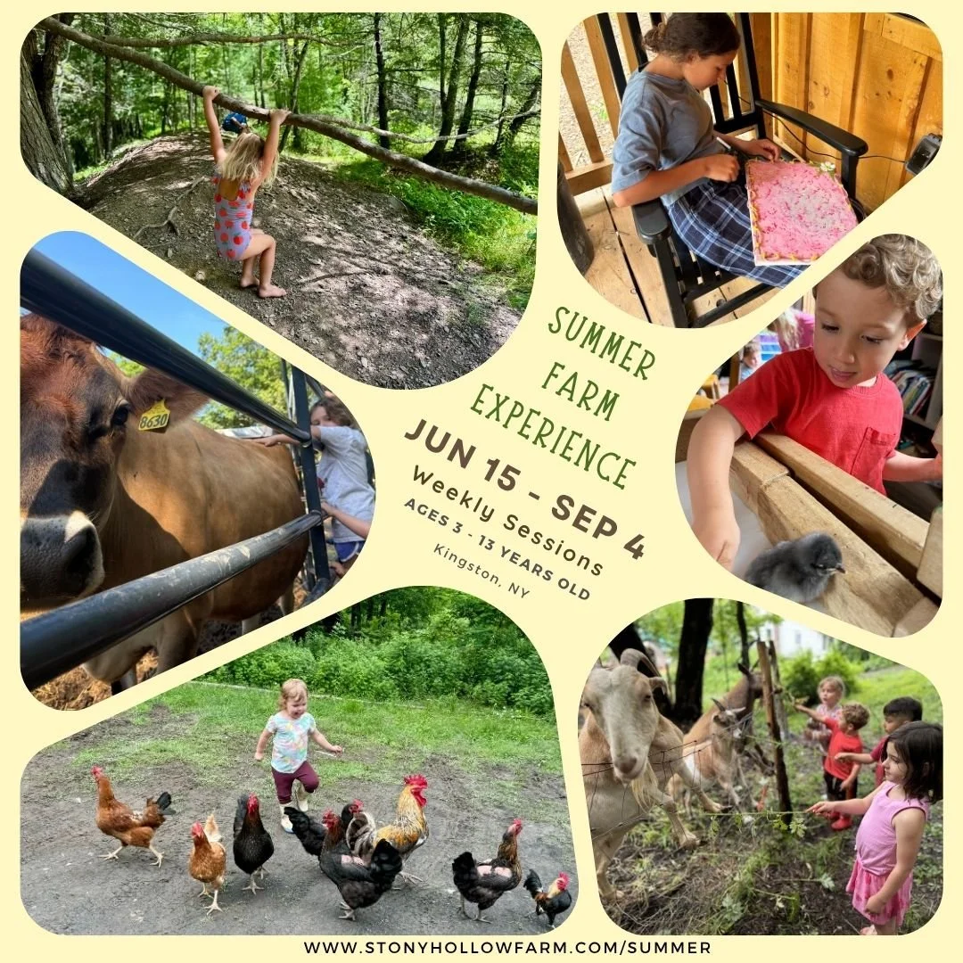 Summer Farm Experience 2026