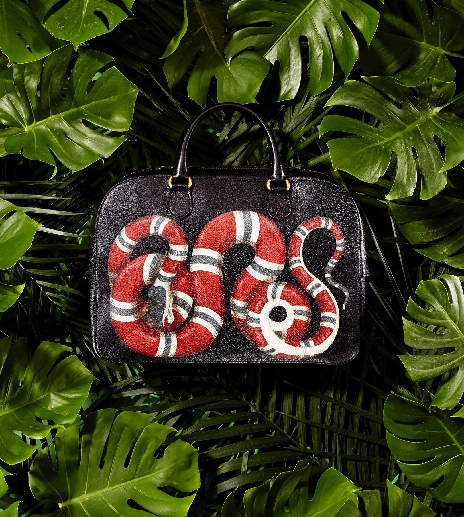 Gucci-snake-bag-designer-fashion-magazine-editorial-still-life-conceptual25.JPG