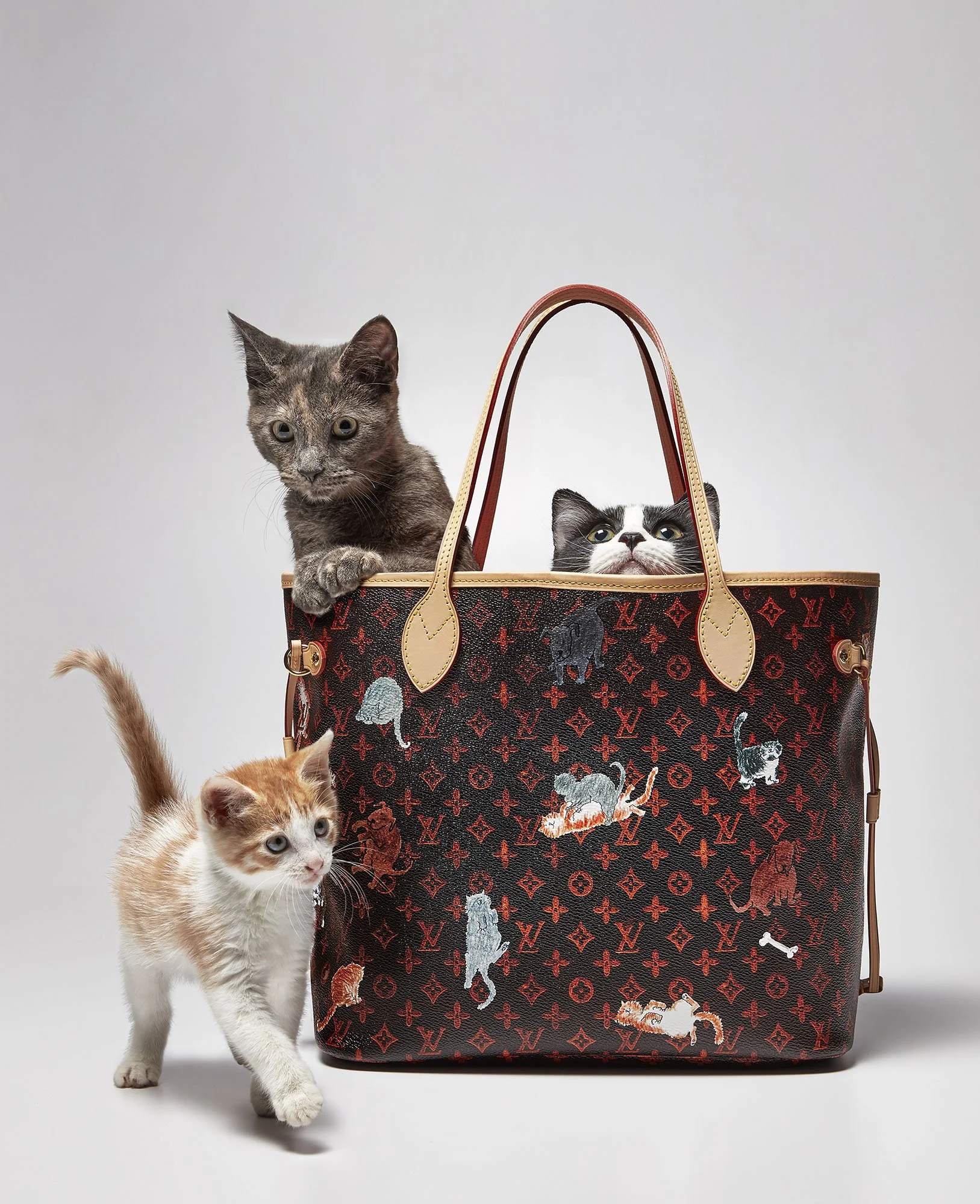 louis-vuitton-bag-cats-designer-bag-fashion-magazine-editorial-still-life-conceptual33.JPG