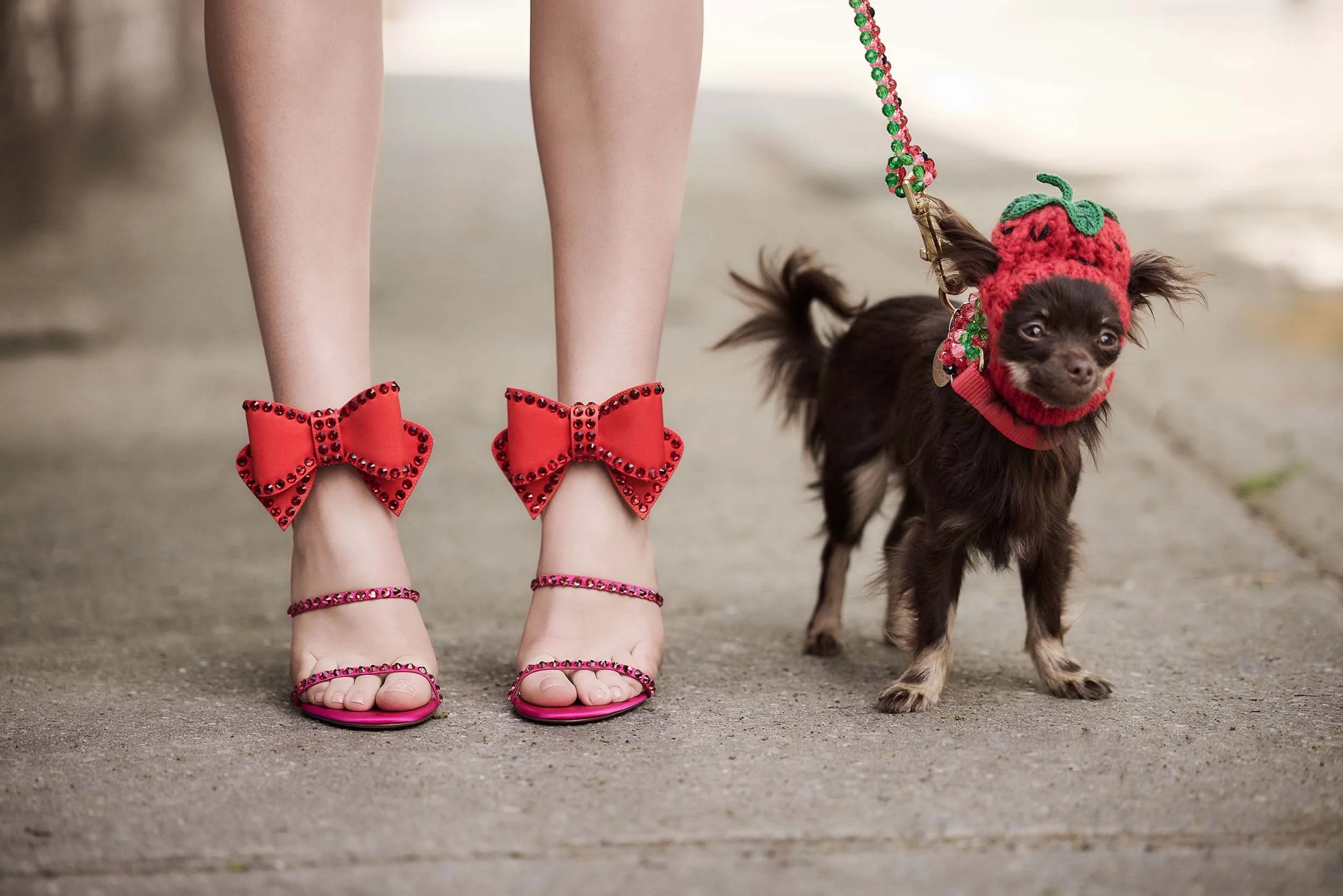 ivy-getty-magazine-shoot-celebrity-fashion-editorial-rescue-dogs-03.JPG
