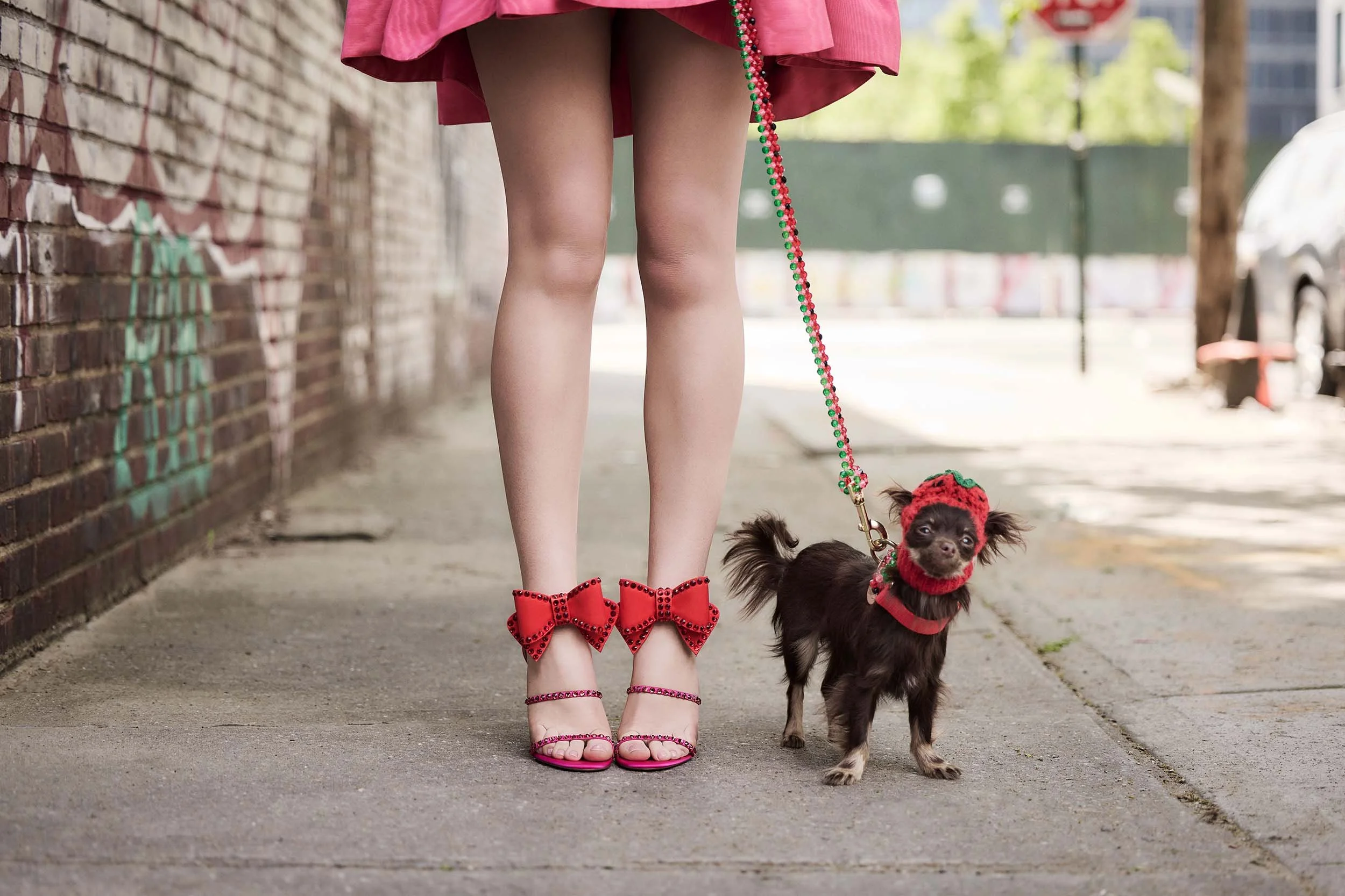 ivy-getty-magazine-shoot-celebrity-fashion-editorial-rescue-dogs-04.JPG