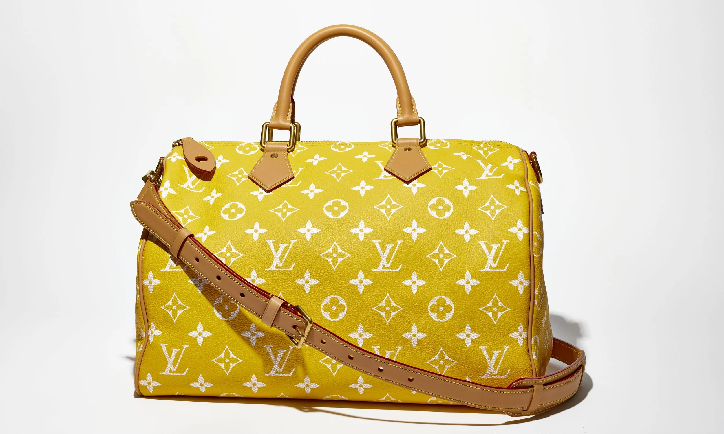 Louis-Vuitton-Millionaire-celebrity-bag-02.JPG