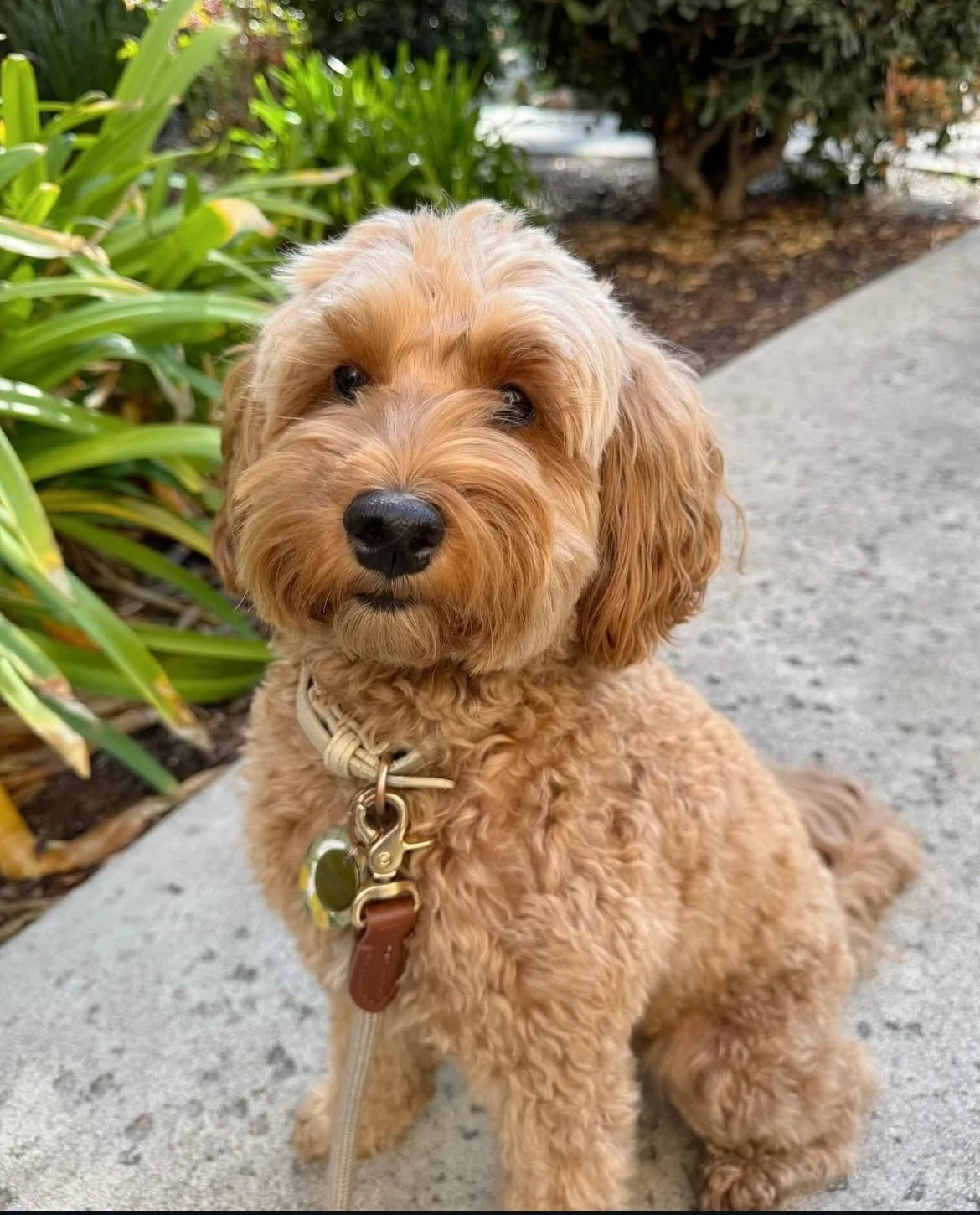 Winnie