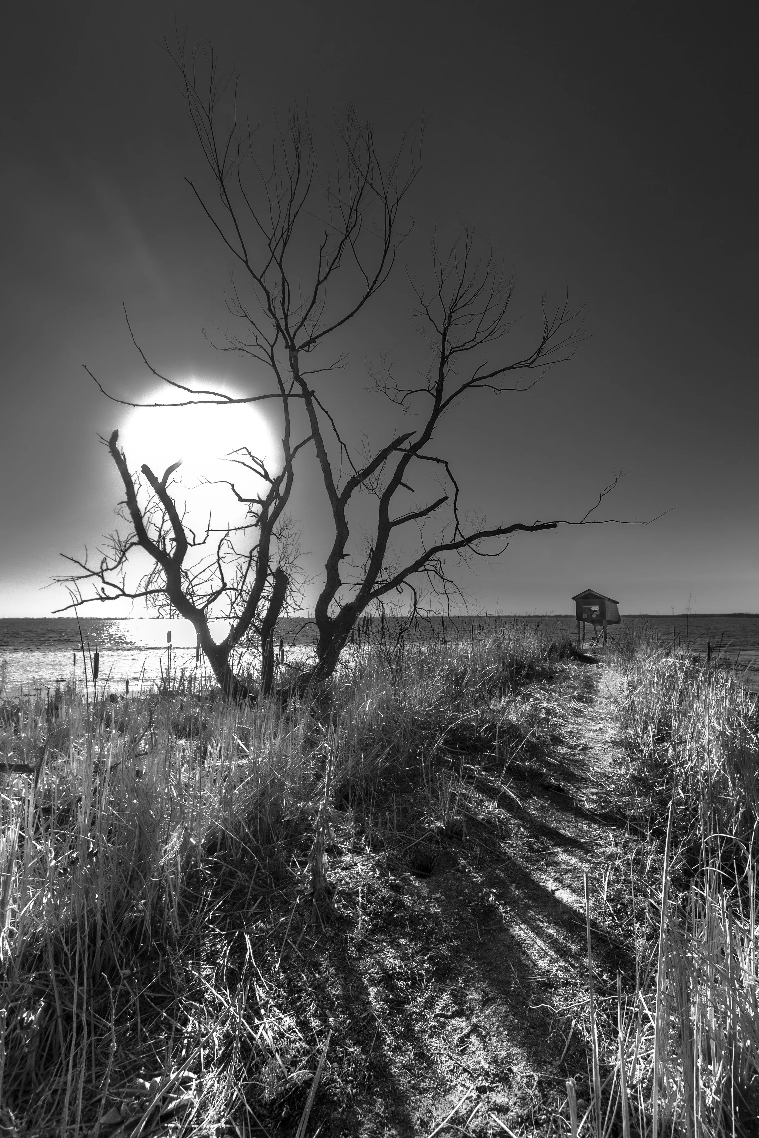 The Path.jpg