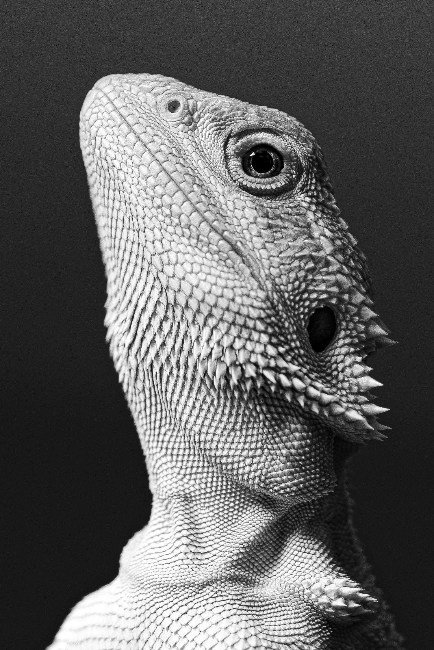 _DSC7018-Edit-Enhanced.jpg