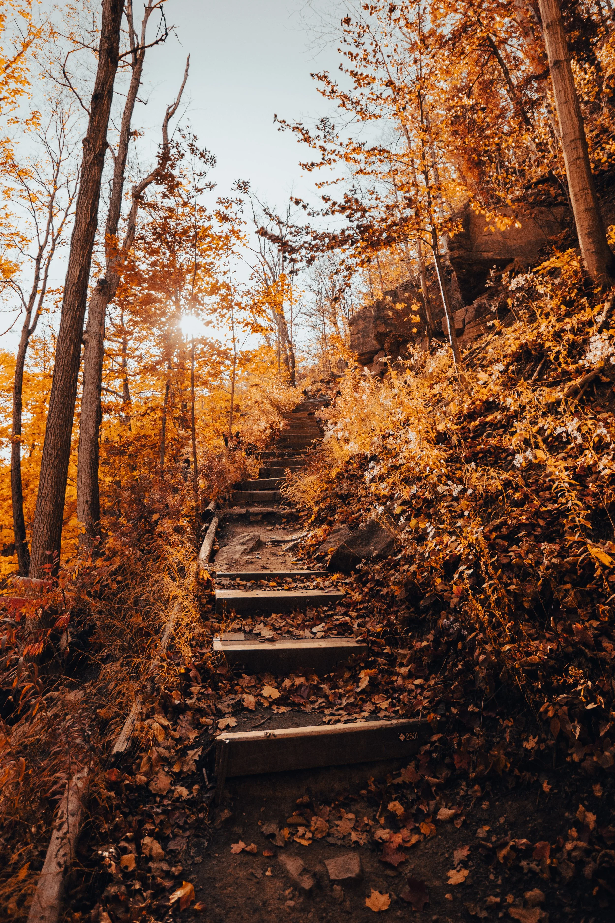 Beamer Fall-2.jpg