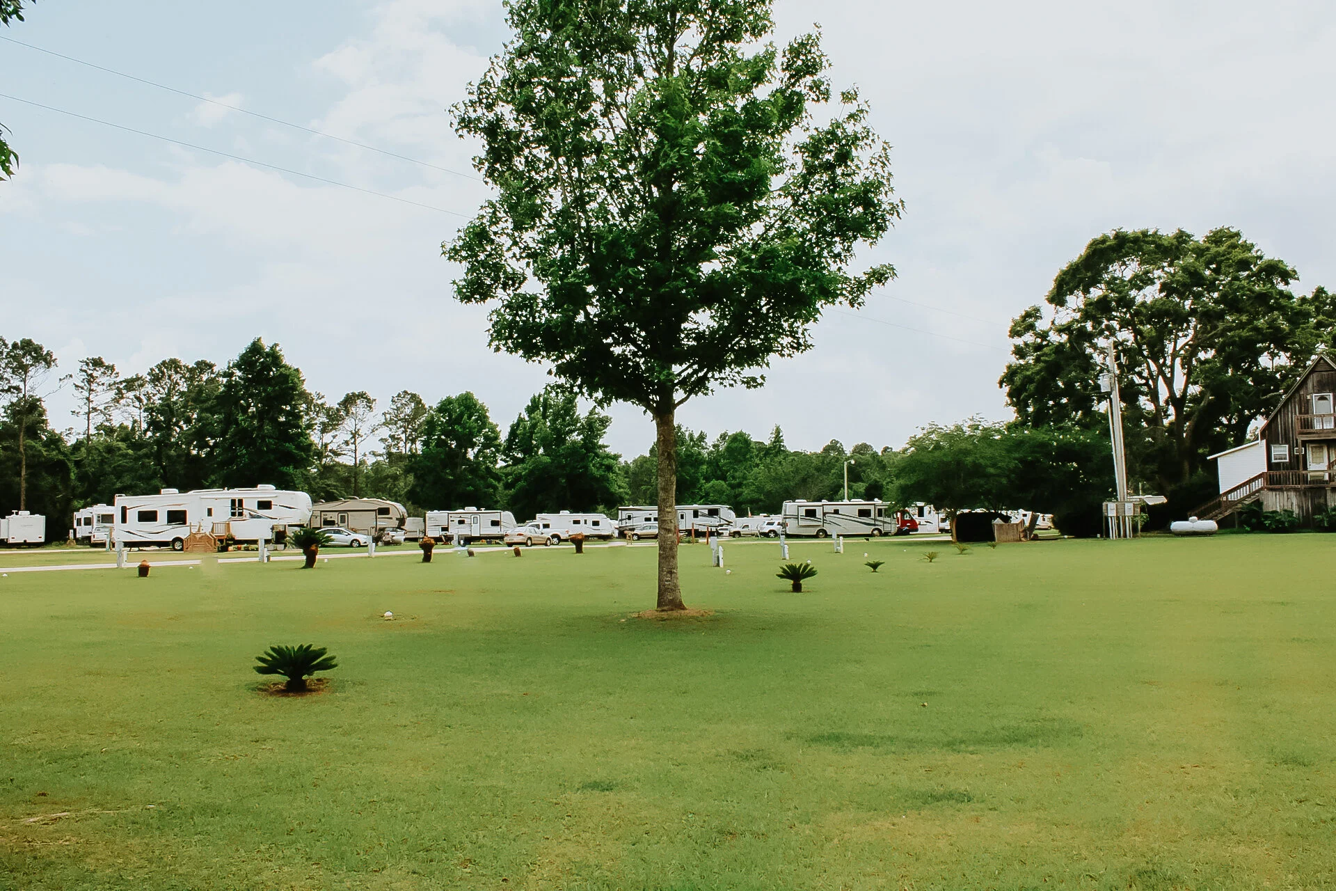 Camellia RV Park