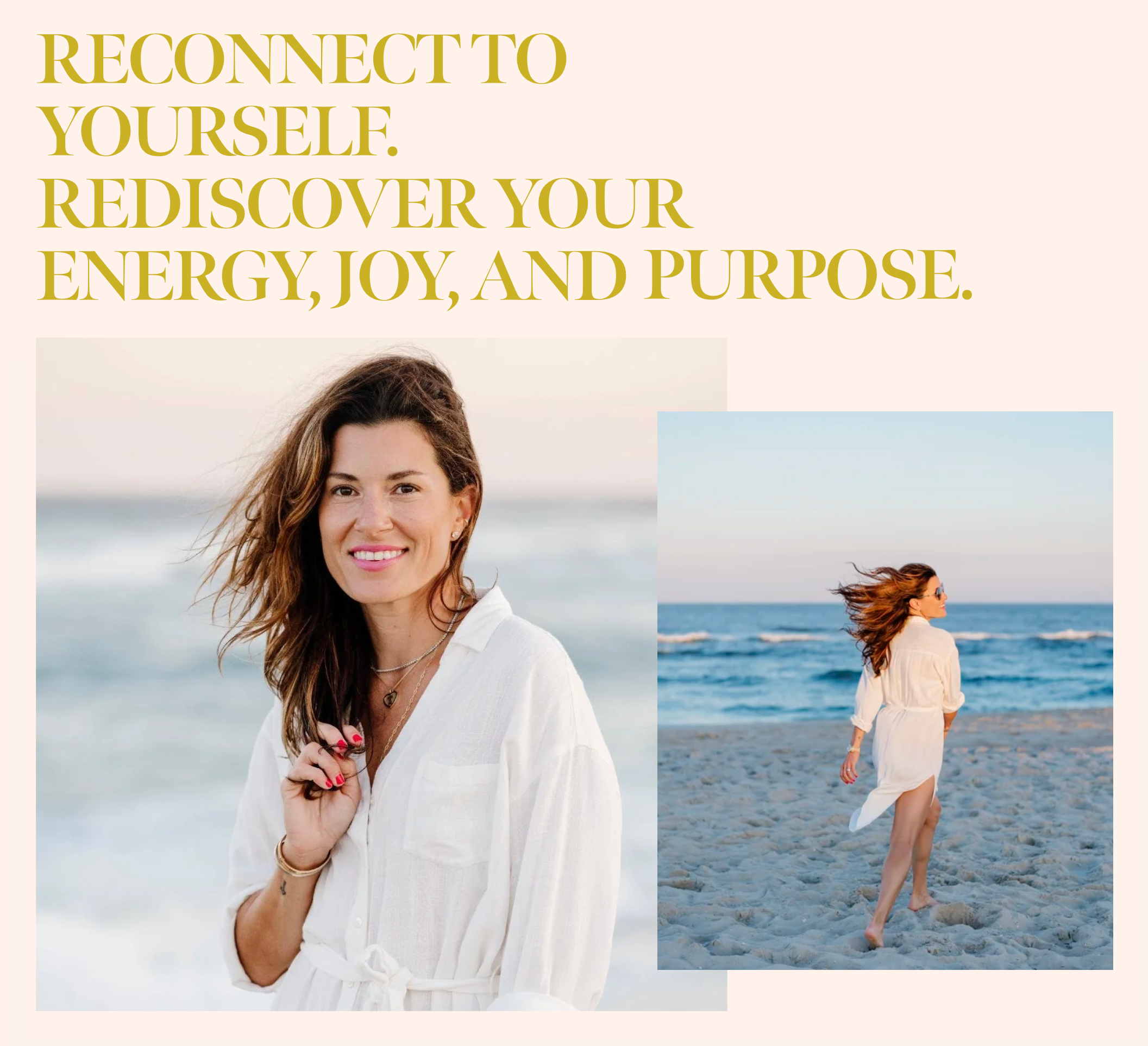 Wellbeing with Chelsea branding, website, printed materials