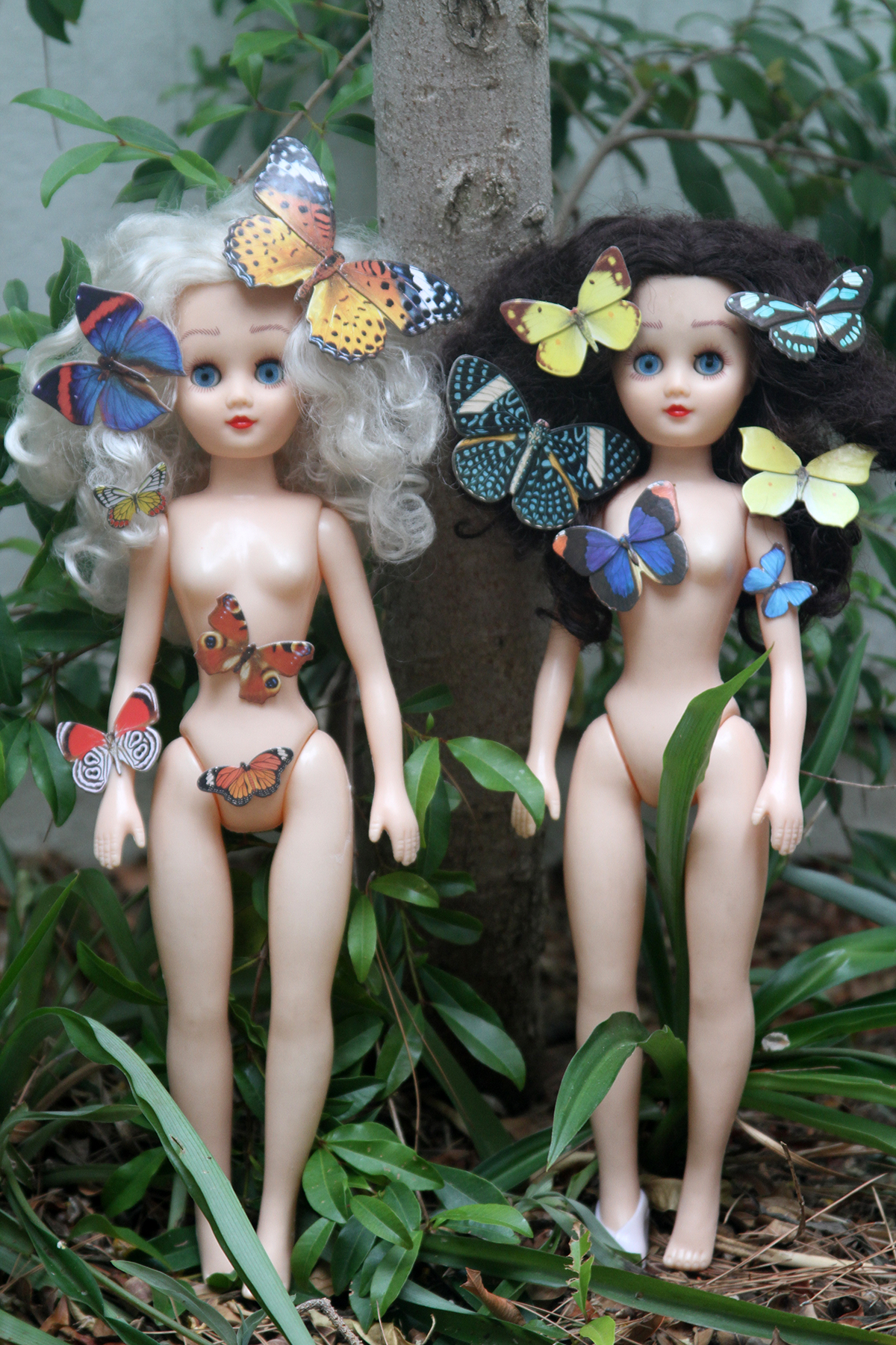 LO-butterflies-vertical.png