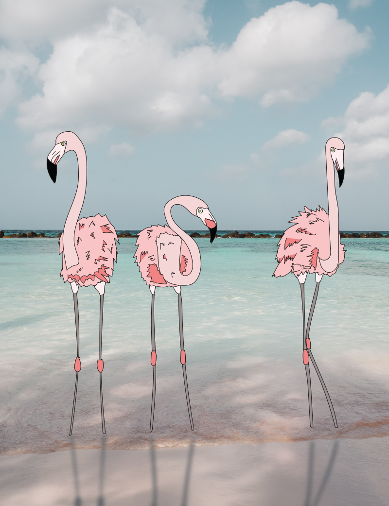 pink-flamingos2.png