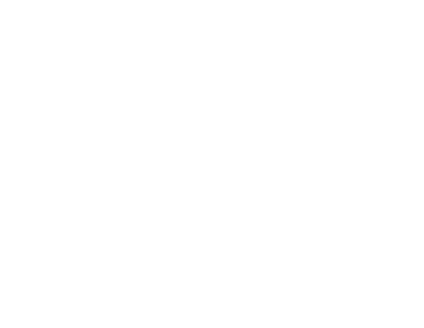 REV Real Estate Team