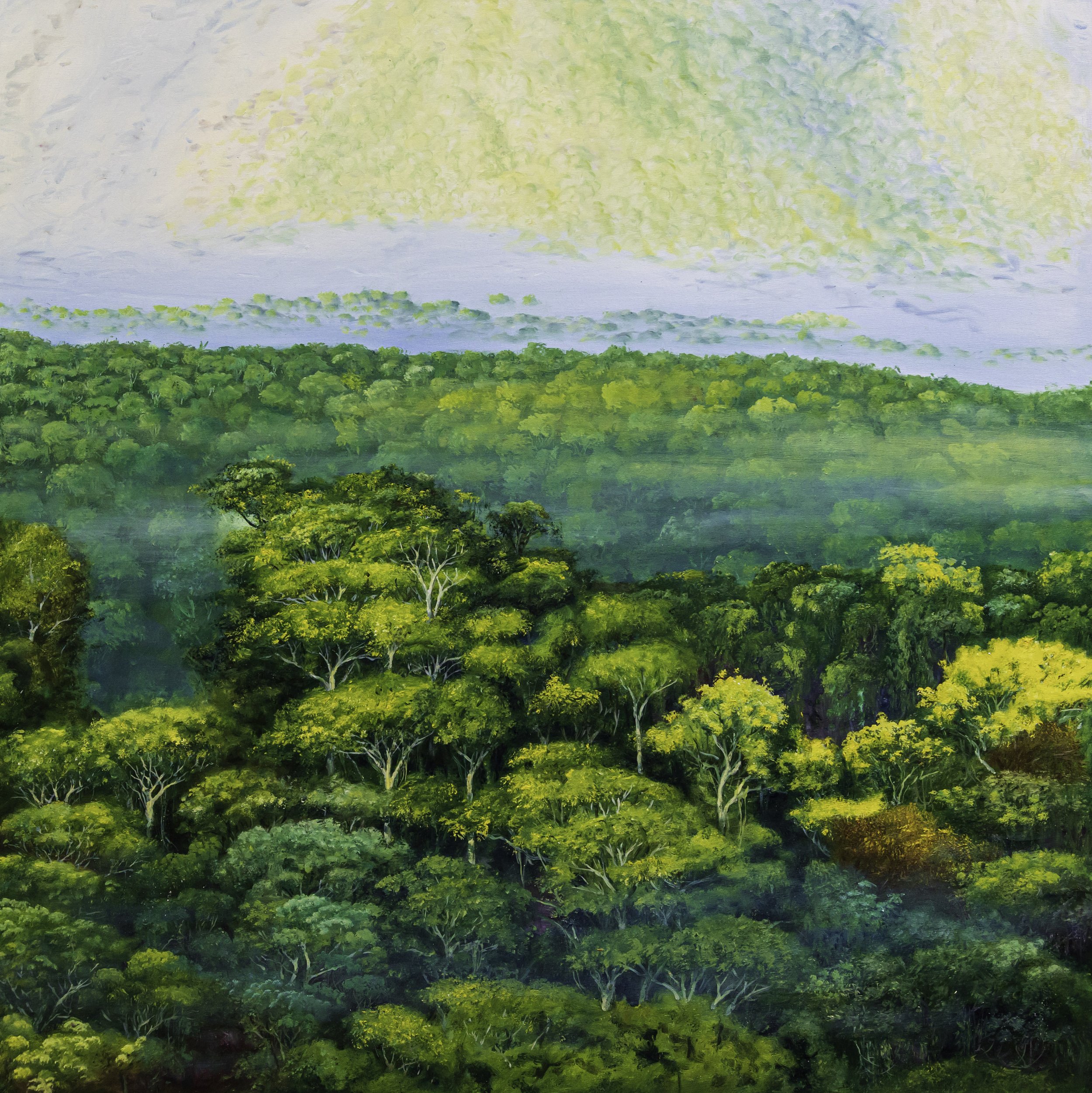 C. De Regreso Al Nido
39"h x 39"w (99.06cm x 99.06cm)
oil on canvas