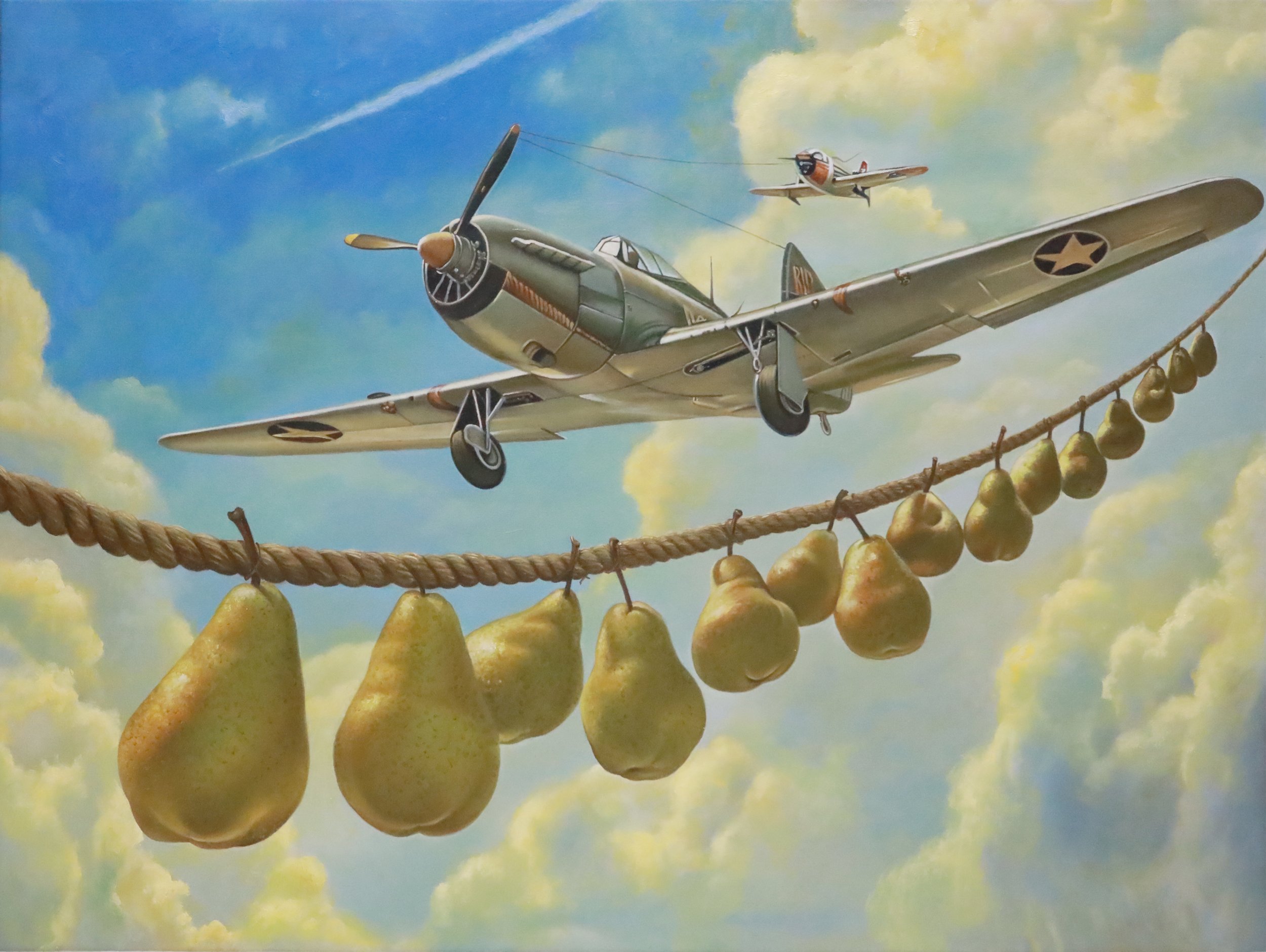 Airborne 30”H x 40”W I 76.2cm x 101.6cm
