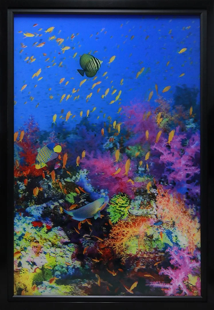 Diversity
59"Hx41" W (149.86cm x 104.14cm)
3D Lenticular