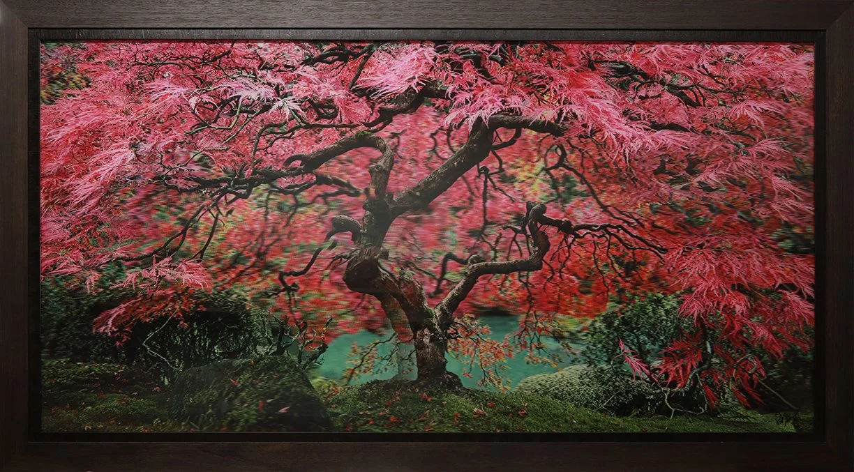 Tree of Dreams
66.5"H x 45.5"W (166.37 cm x 115.57"W)
3D Lenticular