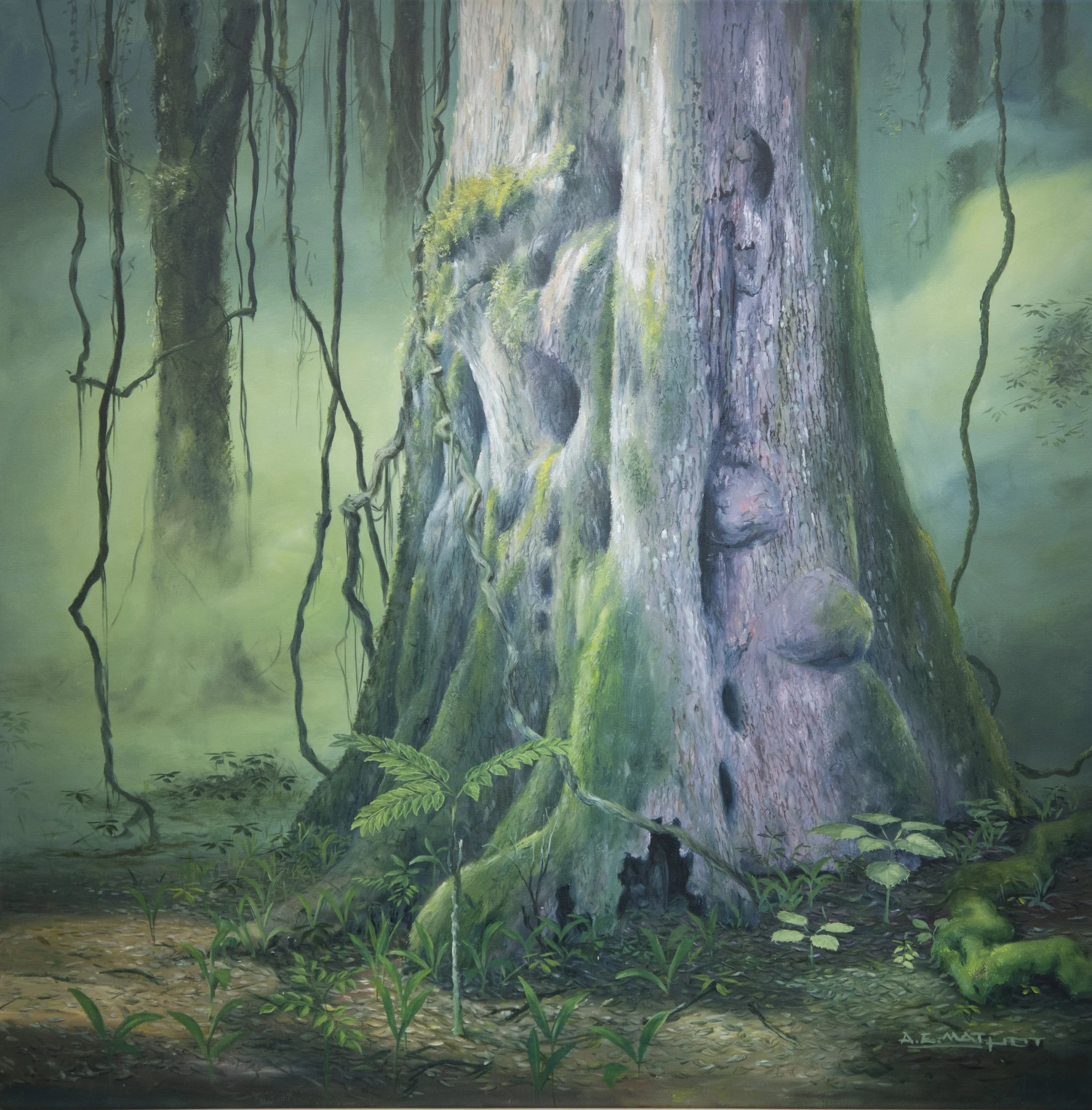 Canafistola
53"h x 53"w (134.62cm x 134.62cm)
oil on canvas