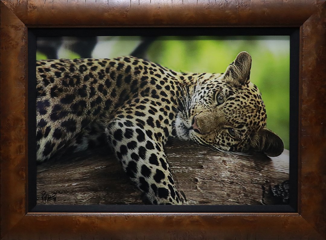 Melting Heart
28"H x 38"W (71.12cm x 96.52cm)
3D Lenticular