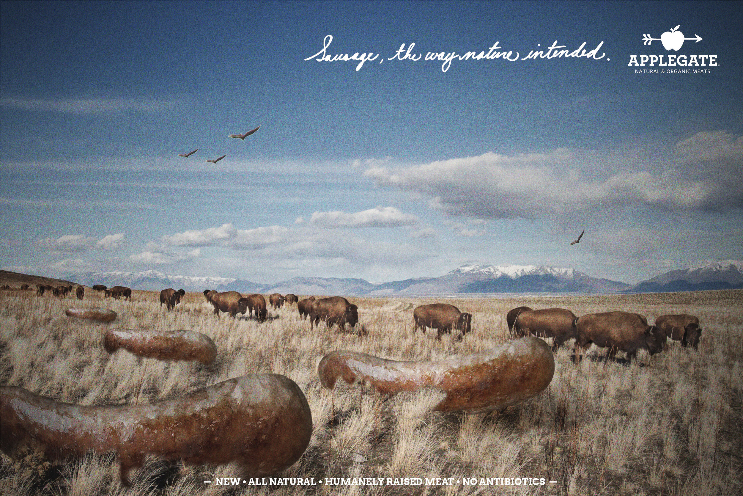 Applegate_Sausage_Print_2.jpg