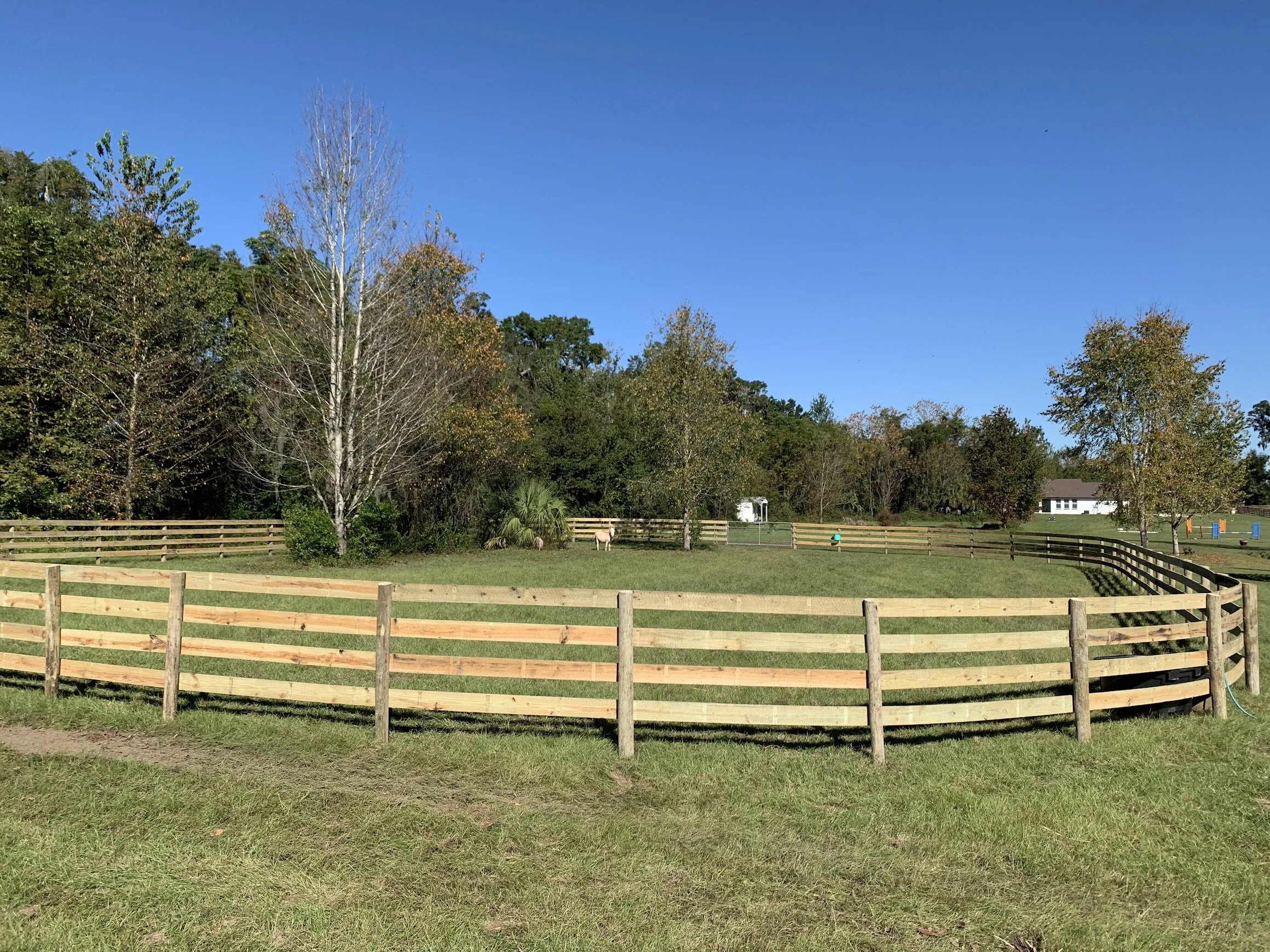 paddock