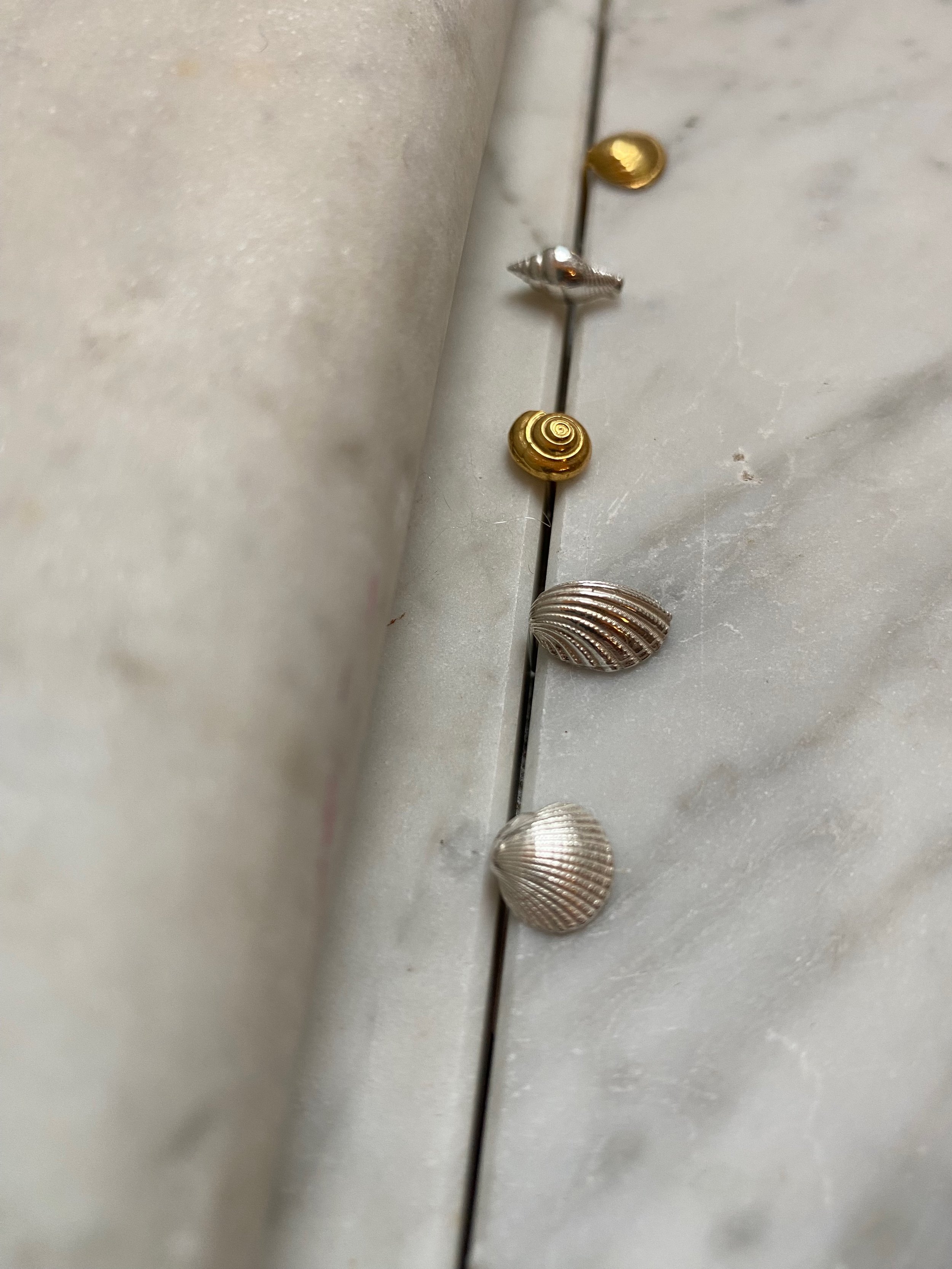 Tiny Shell stud earrings