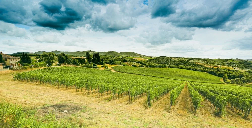 Tuscany Wine Tours An Journey Through Montalcino and Montepulciano — Terra & Tu