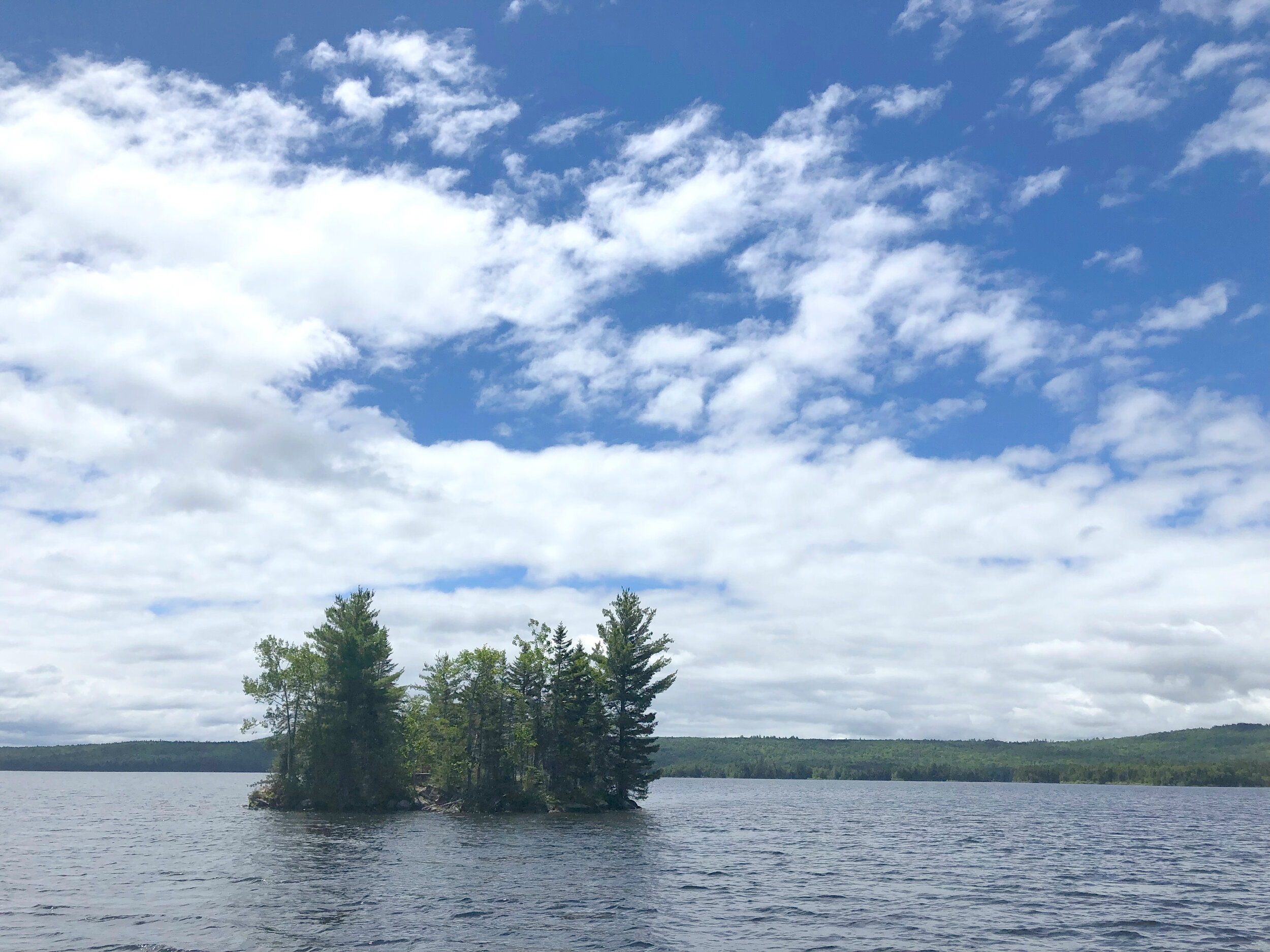 Cultivating a Wild Heart