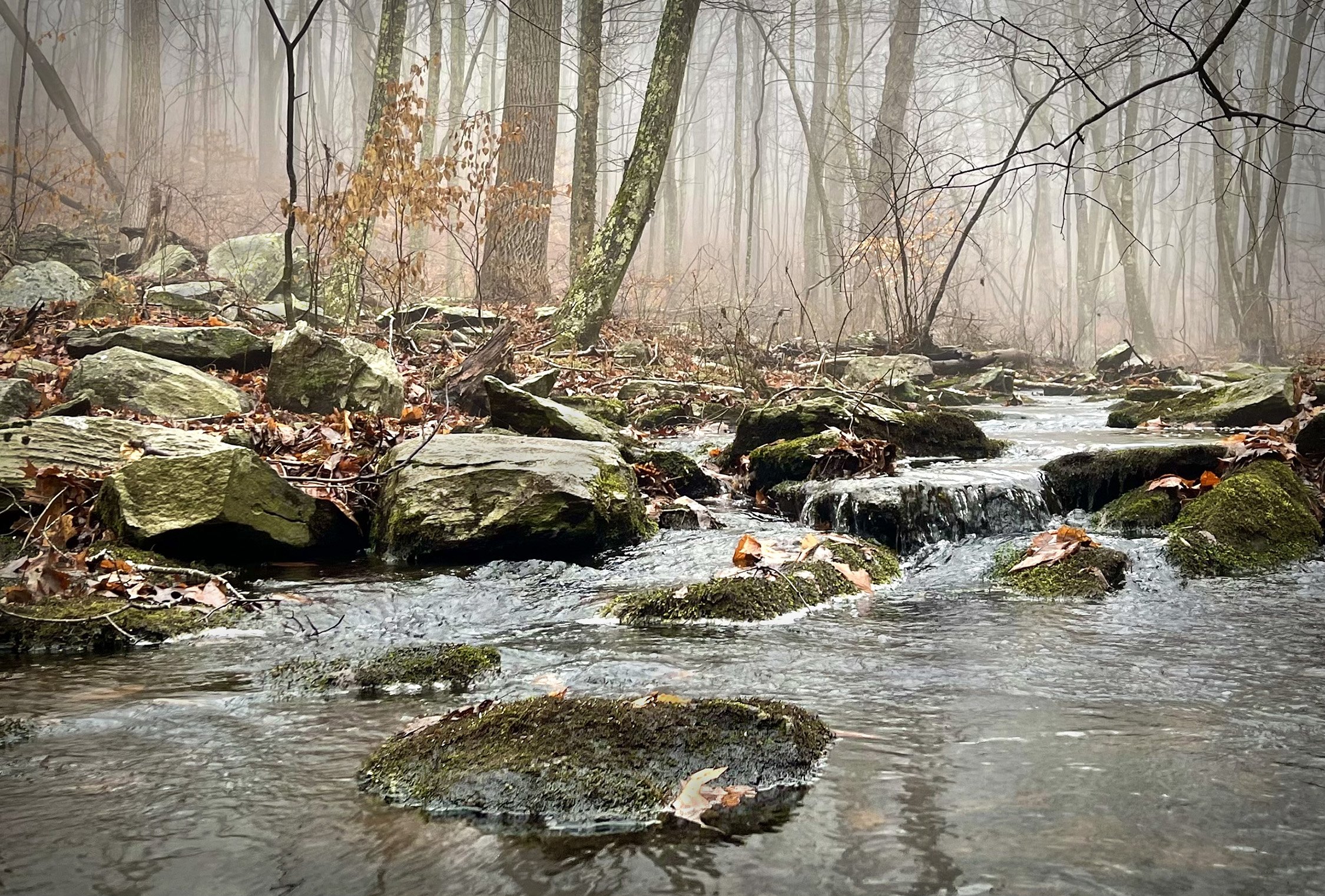 The Restorative Power of Nature