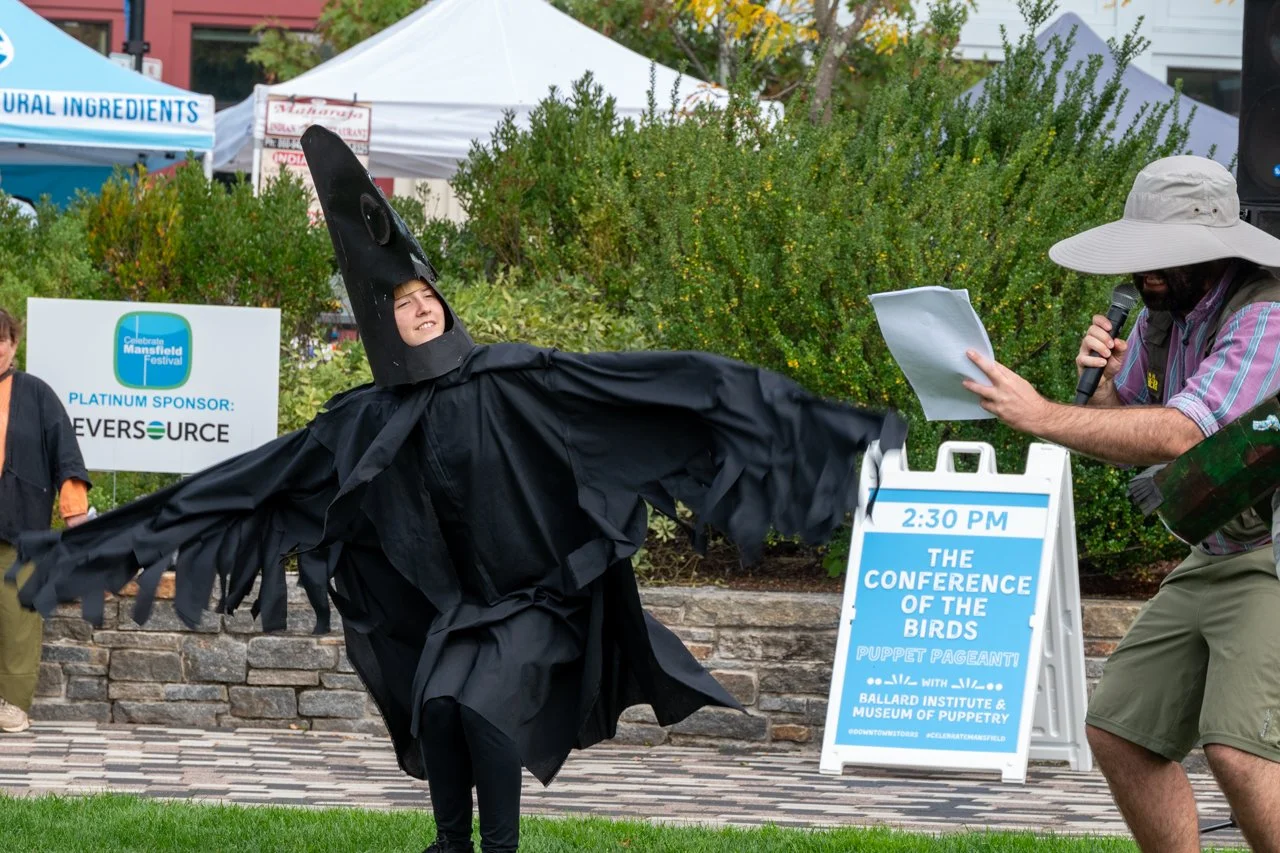 2024 puppet pageant birds laura stone 01.jpg