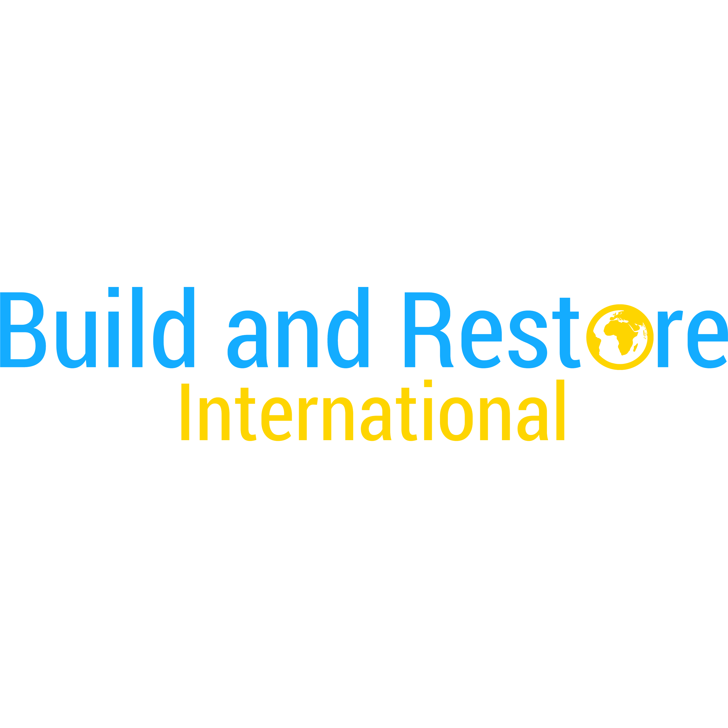 Build & Restore Painting Project