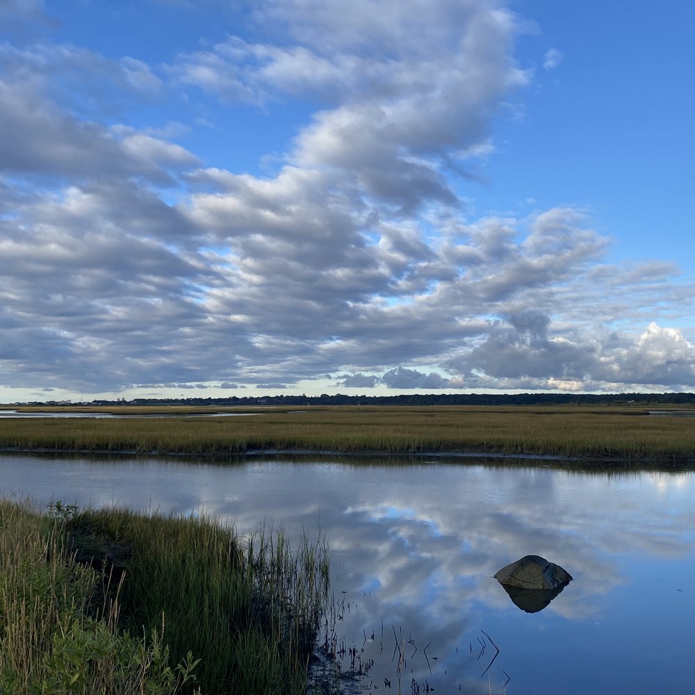 marsh from P Causeway WEB SQUARE.jpg